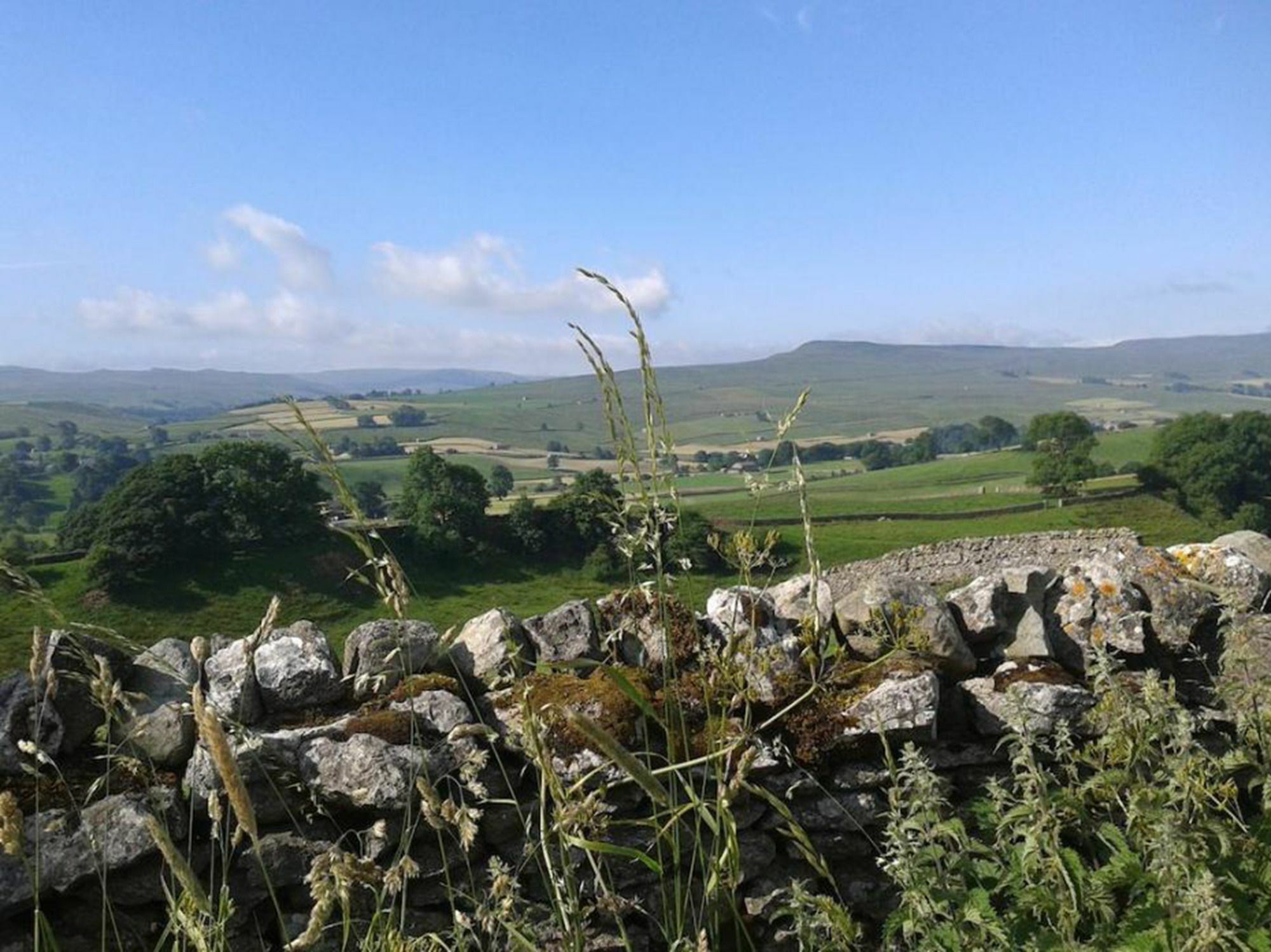 Thornsgill House Bed & Breakfast Askrigg Extérieur photo